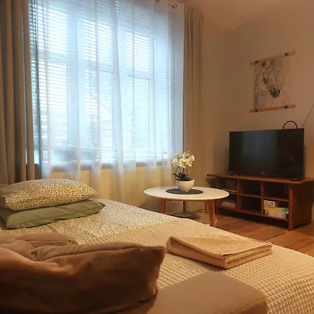 Nova Na Krakowskiej No 2 Lägenhet Bielsko-Biała